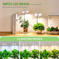 🌱💡 50% RABATT! LED-Engelsring-Pflanzenwachstumslampe – Vollspektrum, energieeffizient & mit einstellbarer Helligkeit für gesunde Pflanzen ✨