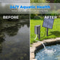 🐟☀️ HEISSER SALE 2026 – 50% RABATT! Solar-Teichbelüfter mit Luftpumpe – 50.000+ verkauft! Sauerstoff für gesundes Teichwasser, kabellos & umweltfreundlich ✨