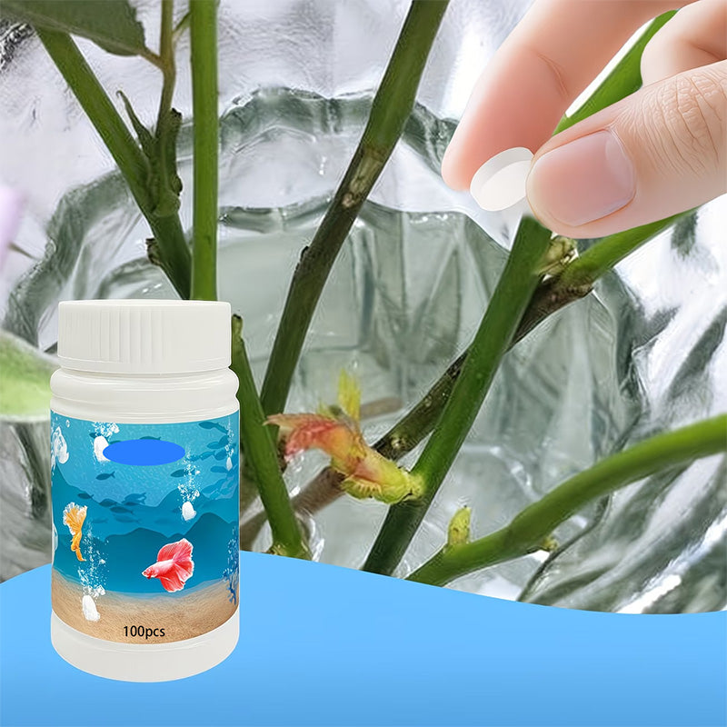 🐟💎 50% RABATT! Kristallklare Aquarium-Reinigungstabletten – Für sauberes, gesundes Wasser & glasklare Sicht 🌊✨