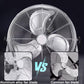 12-Zoll Leistungsstarker Bodenventilator
