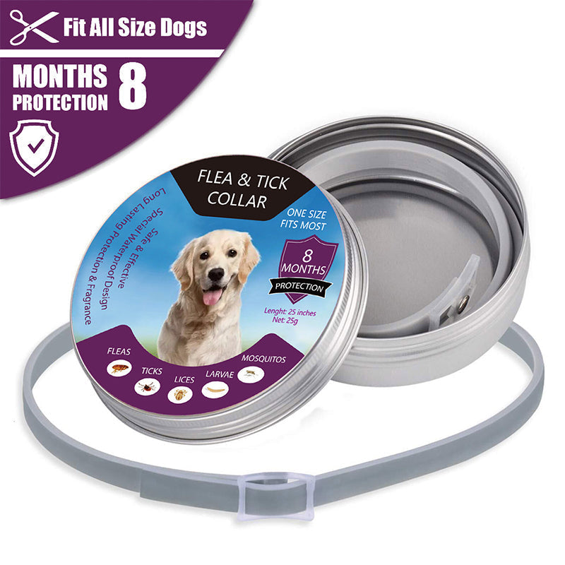 🐾🛡️ 50% RABATT! Floh- & Zeckenhalsband für Hunde & Katzen – Wasserdicht, verstellbar & langanhaltender Schutz im Freien ✨