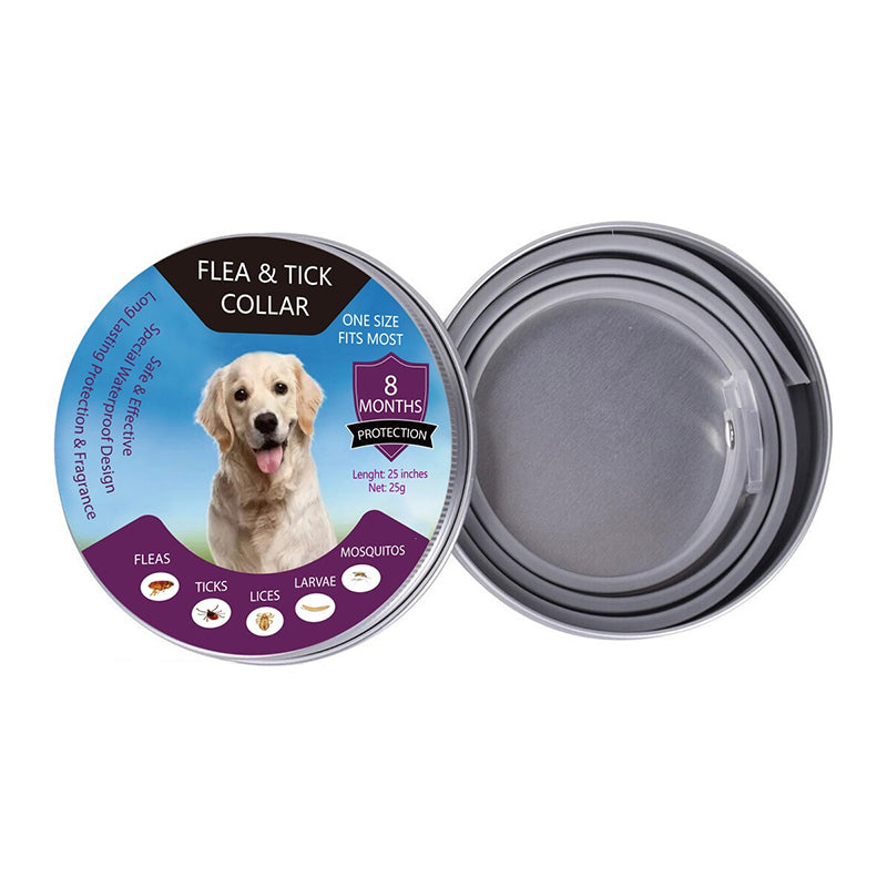 🐾🛡️ 50% RABATT! Floh- & Zeckenhalsband für Hunde & Katzen – Wasserdicht, verstellbar & langanhaltender Schutz im Freien ✨
