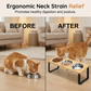 Elevated 3-Bowl Pet Feeder Station