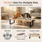 Elevated 3-Bowl Pet Feeder Station