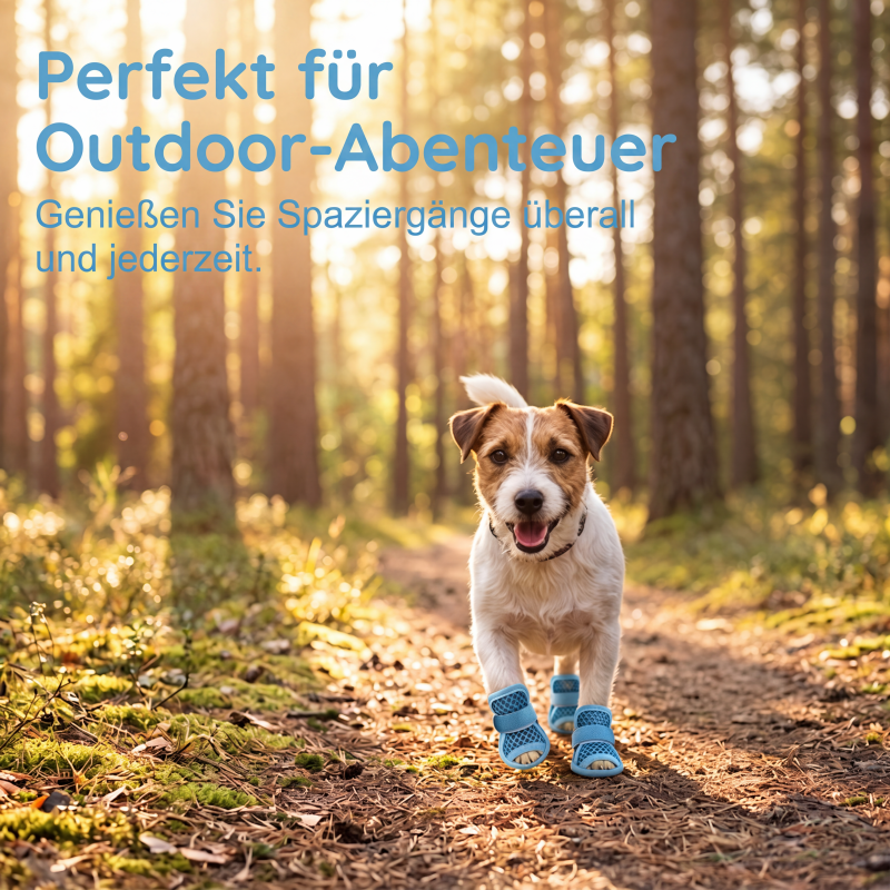 🐶 KAUFE 2, ERHALTE 1 GRATIS! ☀️ Hundeschuhe aus Mesh – Leicht, rutschfest & vielseitig – Ideal für Innen, Außen & jedes Gelände 🐾