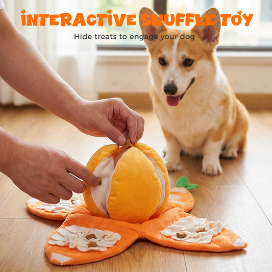 🍊 Neu & Schnüffelspaß! 🐶 Interaktives Schnüffel- & Plüsch-Hundespielzeug in Orangenform – Zwei Teile (Schale + Fruchtfleisch), versteckte Leckerli-Taschen