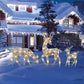 🎄🦌LED-Weihnachtsrentier-Set mit Schleife – dekorative Rentierfamilie für drinnen und draußen