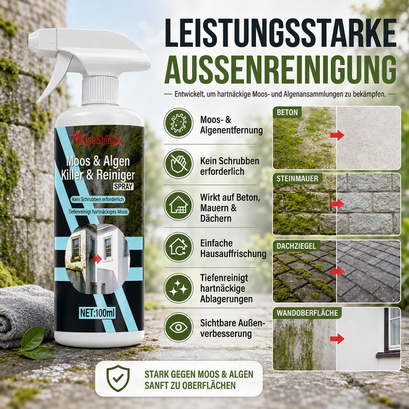 🧴 Moosentferner-Spray – Schnell wirkend, ohne schrubben ✨