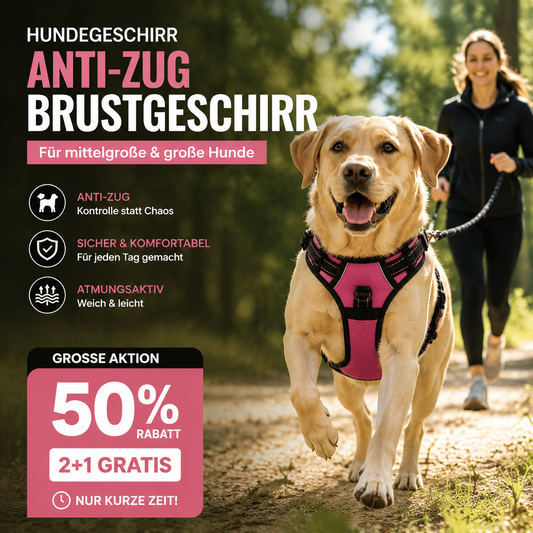 🐕 50% RABATT! 🦺 Anti-Zieh-Geschirr – Reflektierend, atmungsaktiv & mit zwei Leinenbefestigungen🌿
