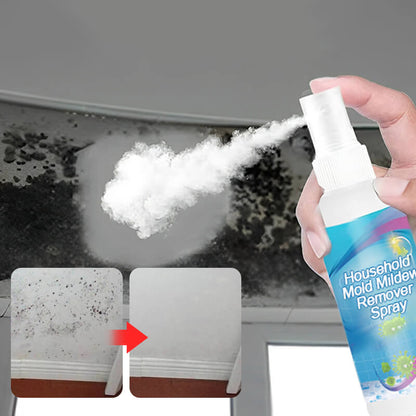 🔥Bestes Geschenk🎁 - Spray zur Entfernung von Schimmel und Mehltau